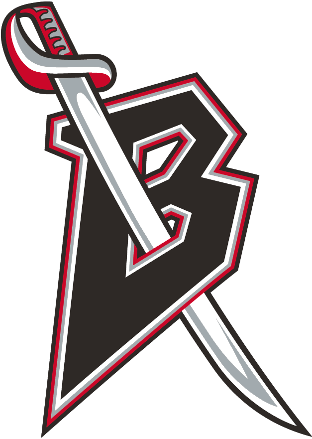 Buffalo Sabres 1999 00-2005 06 Alternate Logo 03 cricut iron on